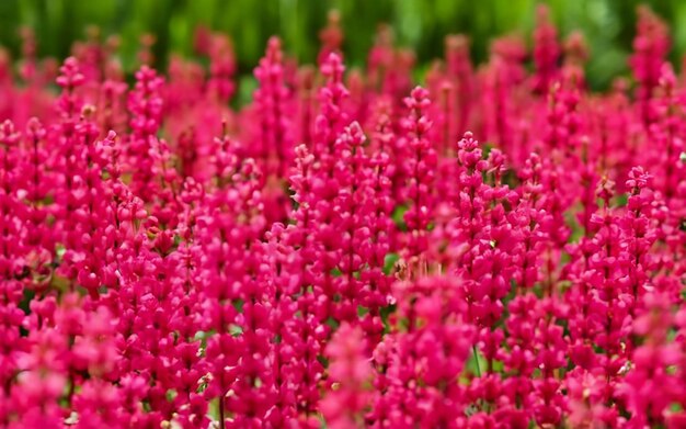 Fotografía de colores brillantes y vibrantes