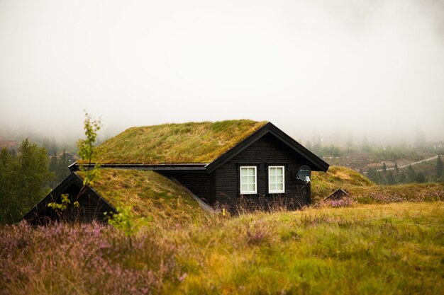 fotografia com paisagens e natureza na noruega