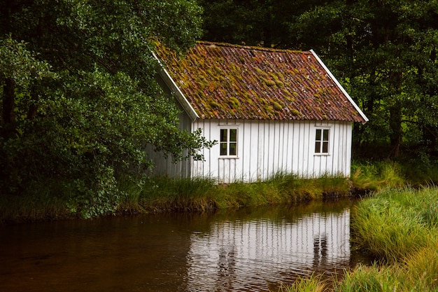 fotografia com paisagens e natureza na noruega