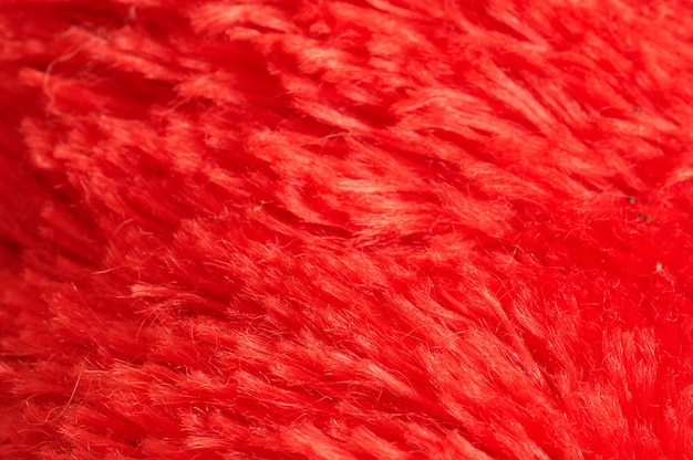 Fotografía completa de la alfombra roja