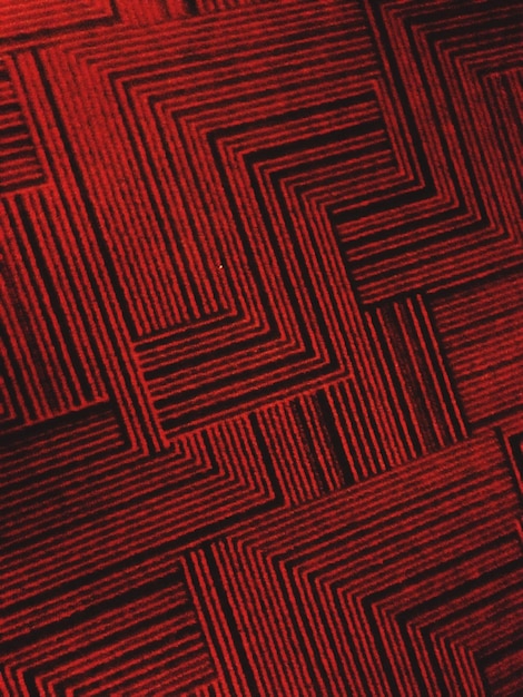 Fotografía completa de la alfombra