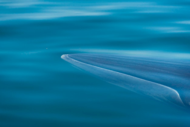 Foto fotografía completa de un barco en el agua