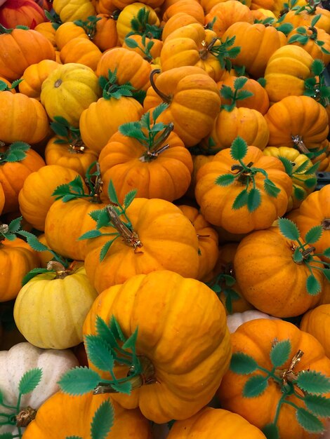 Foto fotografía completa de calabazas en el mercado