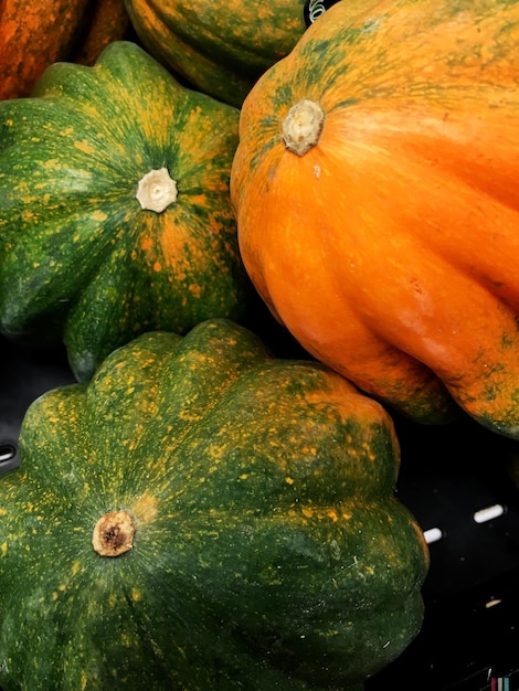 Foto fotografía completa de las calabazas