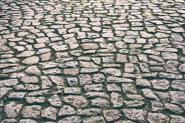 Fotografía completa de la calle de adoquines