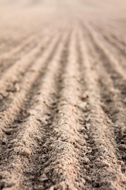 Foto fotografía completa de un campo agrícola