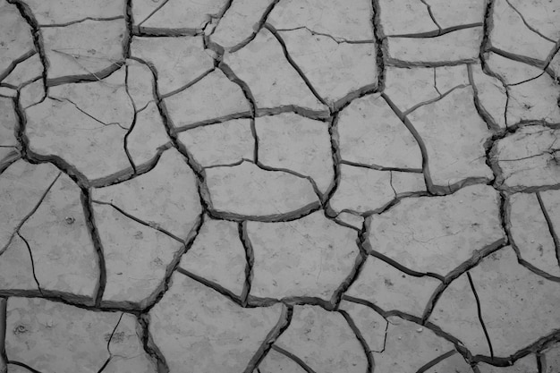 Fotografía completa del campo agrietado