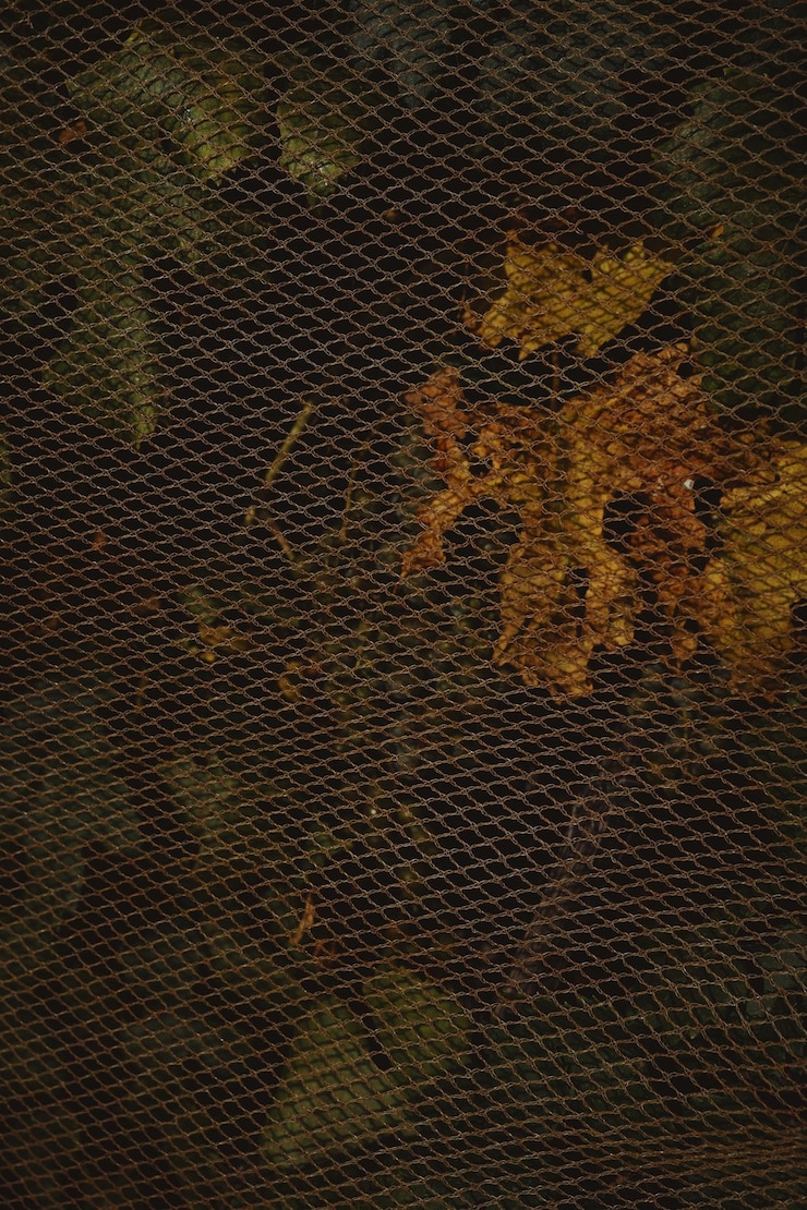 Foto fotografia completa da cerca contra as plantas