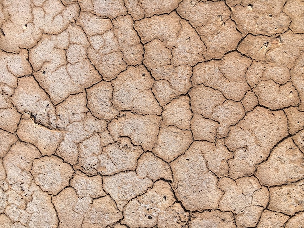 Fotografia completa da terra rachada