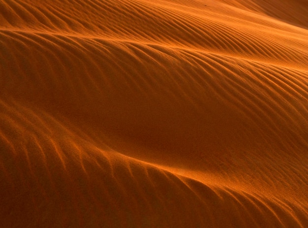 Fotografia completa de areia