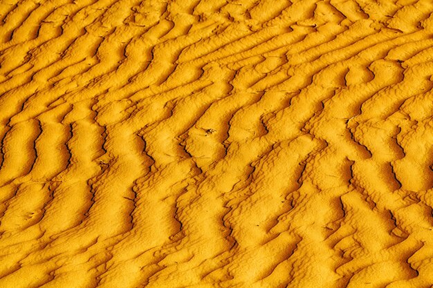 Fotografia completa de areia