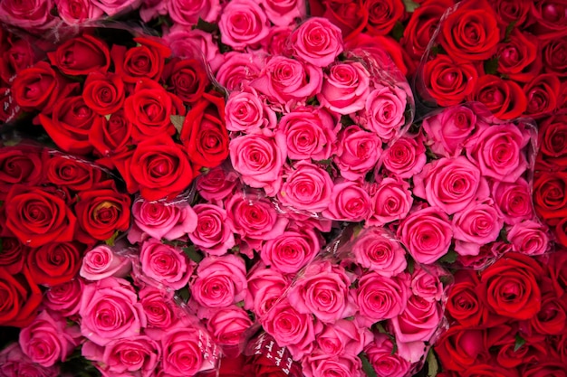 Foto fotografia completa de buquês de rosas