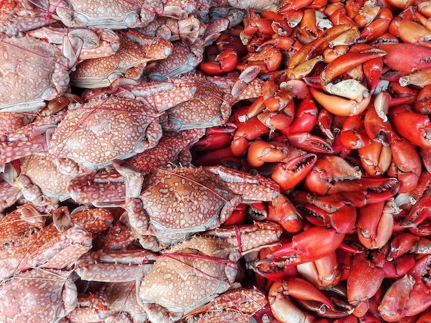 Fotografia completa de caranguejos à venda no mercado