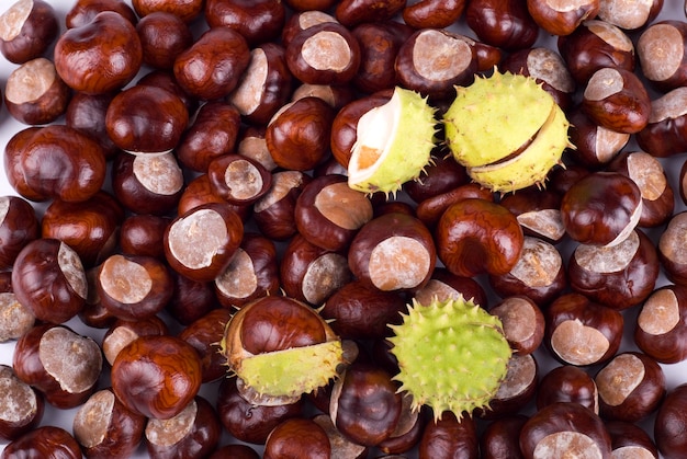 Fotografia completa de castanhas
