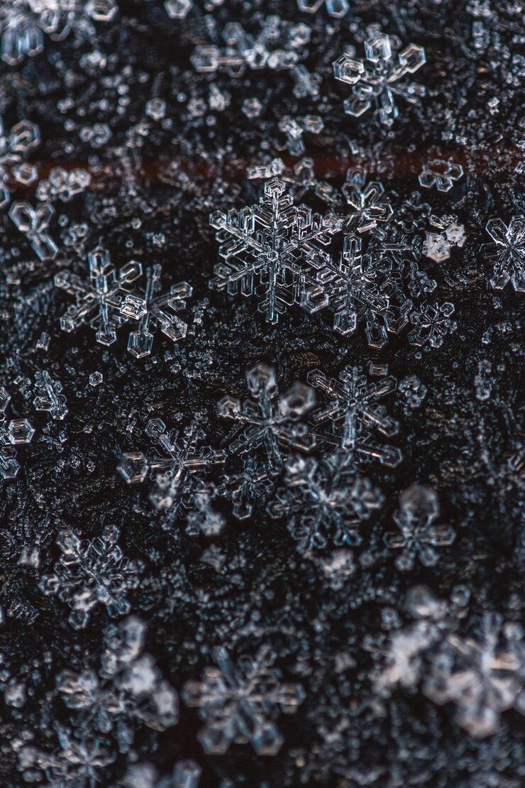 Foto fotografia completa de flocos de neve na árvore