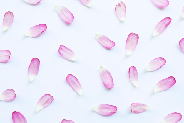 Fotografia completa de flores brancas e cor-de-rosa