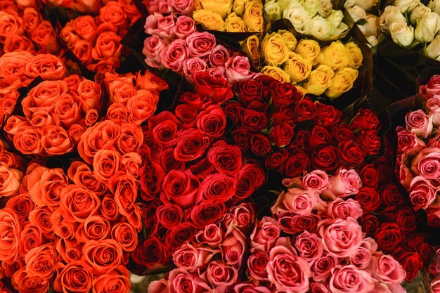 Foto fotografia completa de flores multicoloridas no mercado