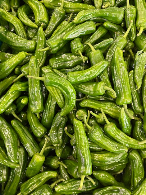 Fotografia completa de folhas verdes