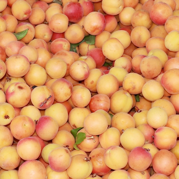 Foto fotografia completa de frutas para venda no mercado