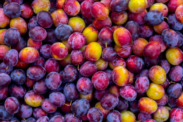 Fotografia completa de frutas