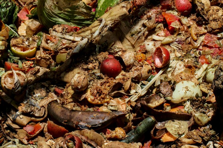Foto fotografia completa de frutas