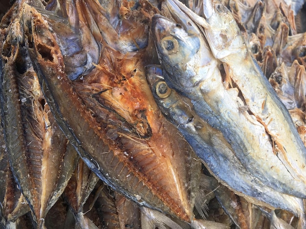 Fotografia completa de peixes à venda