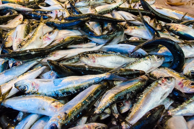 Fotografia completa de peixes para venda no mercado
