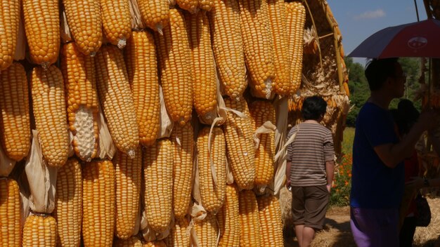 Foto fotografia completa de pessoas à venda na barraca do mercado