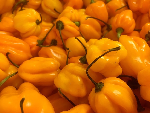 Foto fotografia completa de pimentas amarelas na barraca do mercado