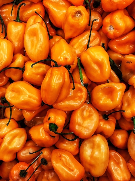 Foto fotografia completa de pimentas para venda no mercado