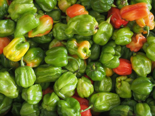 Foto fotografia completa de pimentas verdes