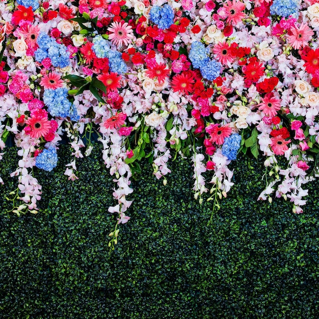 Fotografia completa de plantas de flores brancas