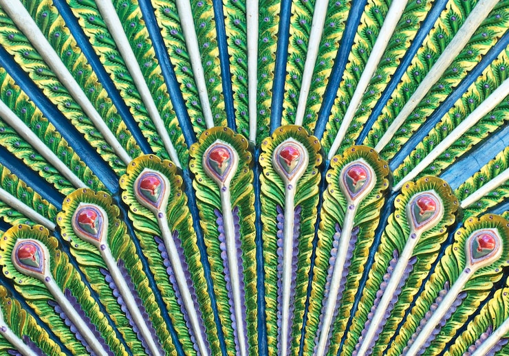 Foto fotografia completa de plantas suculentas