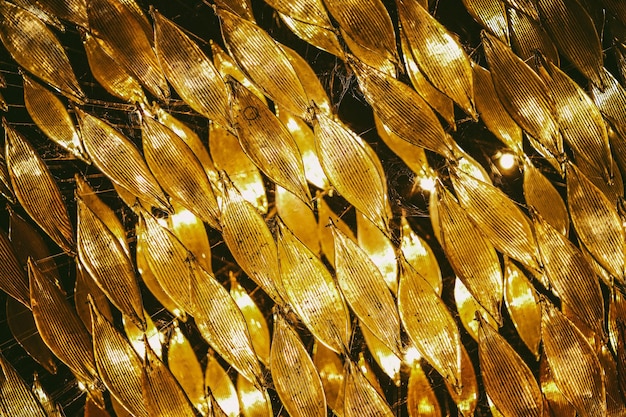 Fotografia completa de plantas