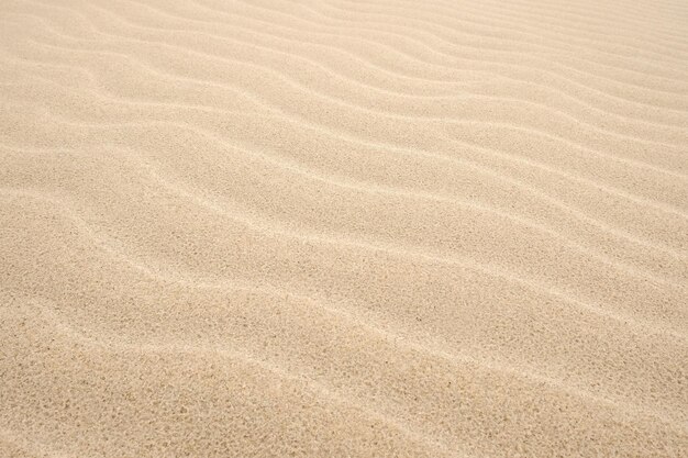 Fotografia completa de rastros de pneus na areia