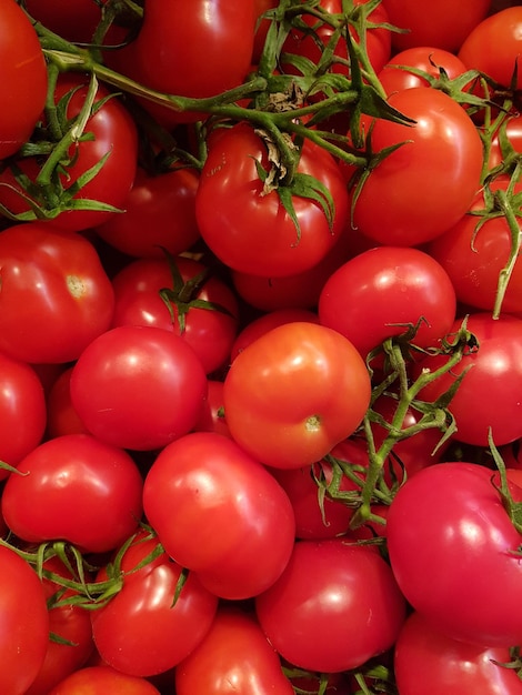 Fotografia completa de tomates vermelhos.