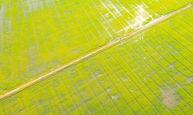 Foto fotografia completa de um campo agrícola