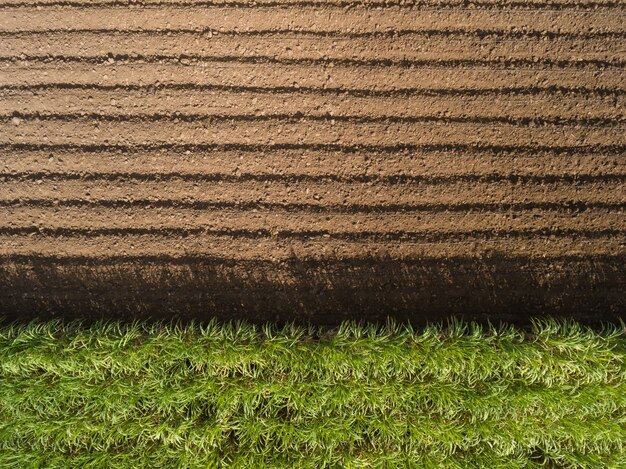 Foto fotografia completa de um campo agrícola