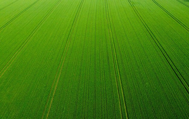 Foto fotografia completa de um campo agrícola