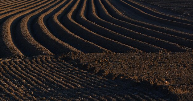 Foto fotografia completa de um campo agrícola