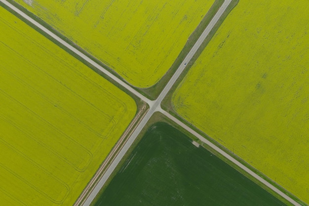 Fotografia completa de um campo agrícola