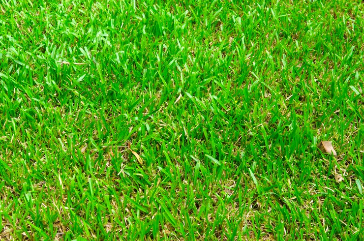 Foto fotografia completa de um campo verde fresco
