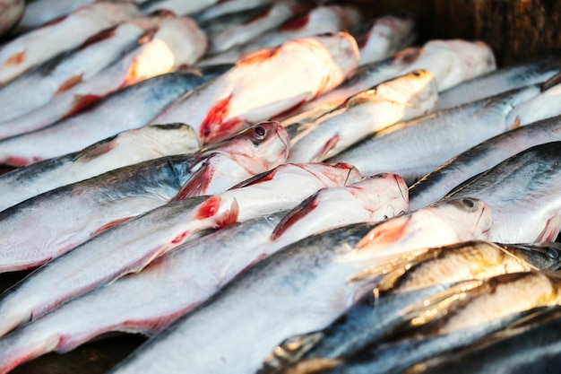 Fotografia completa de um peixe no mercado à venda