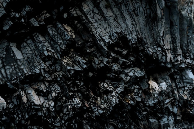 Fotografia completa de um tronco de árvore queimado