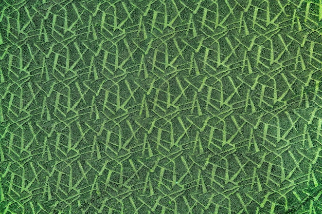 Fotografia completa de uma folha verde