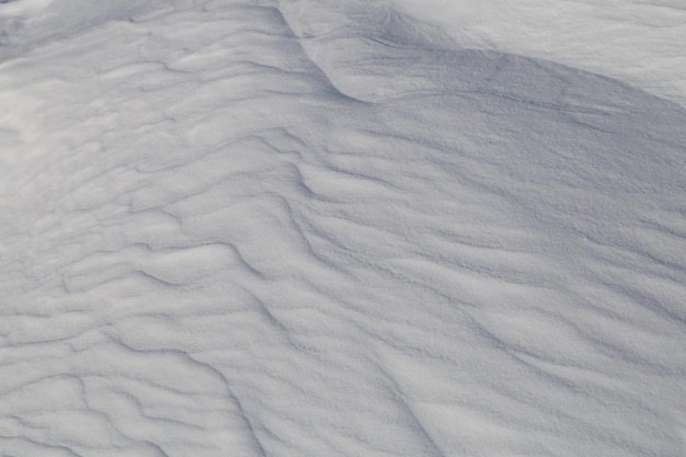 Fotografia completa de uma paisagem coberta de neve