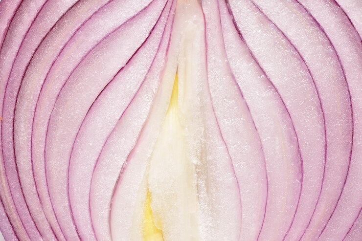 Foto fotografia completa de uma rosa rosa