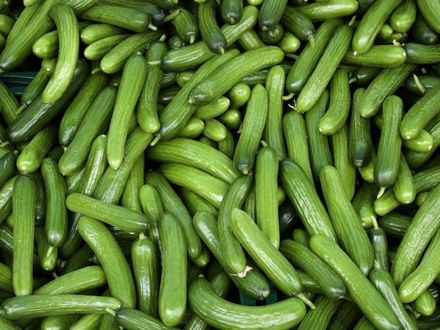 Fotografia completa de vegetais para venda no mercado