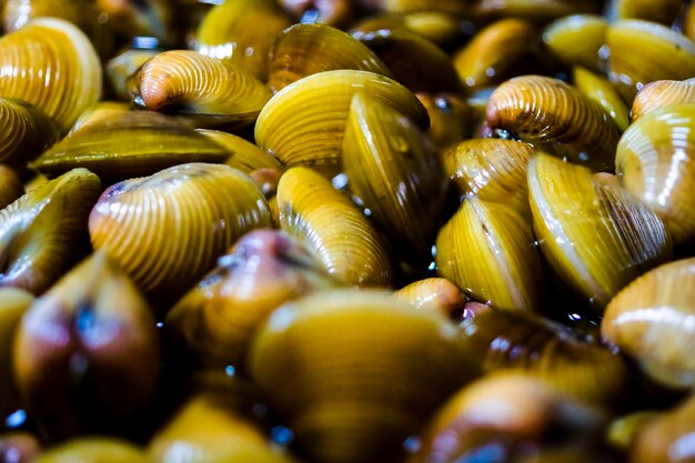 Foto fotografia completa de vegetais para venda no mercado