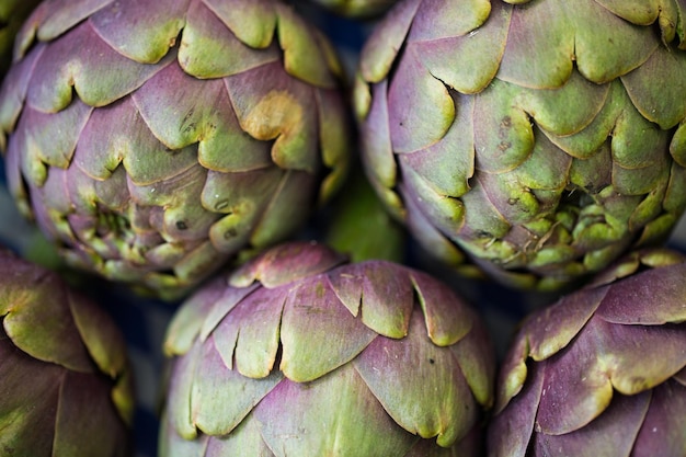 Fotografia completa de vegetais